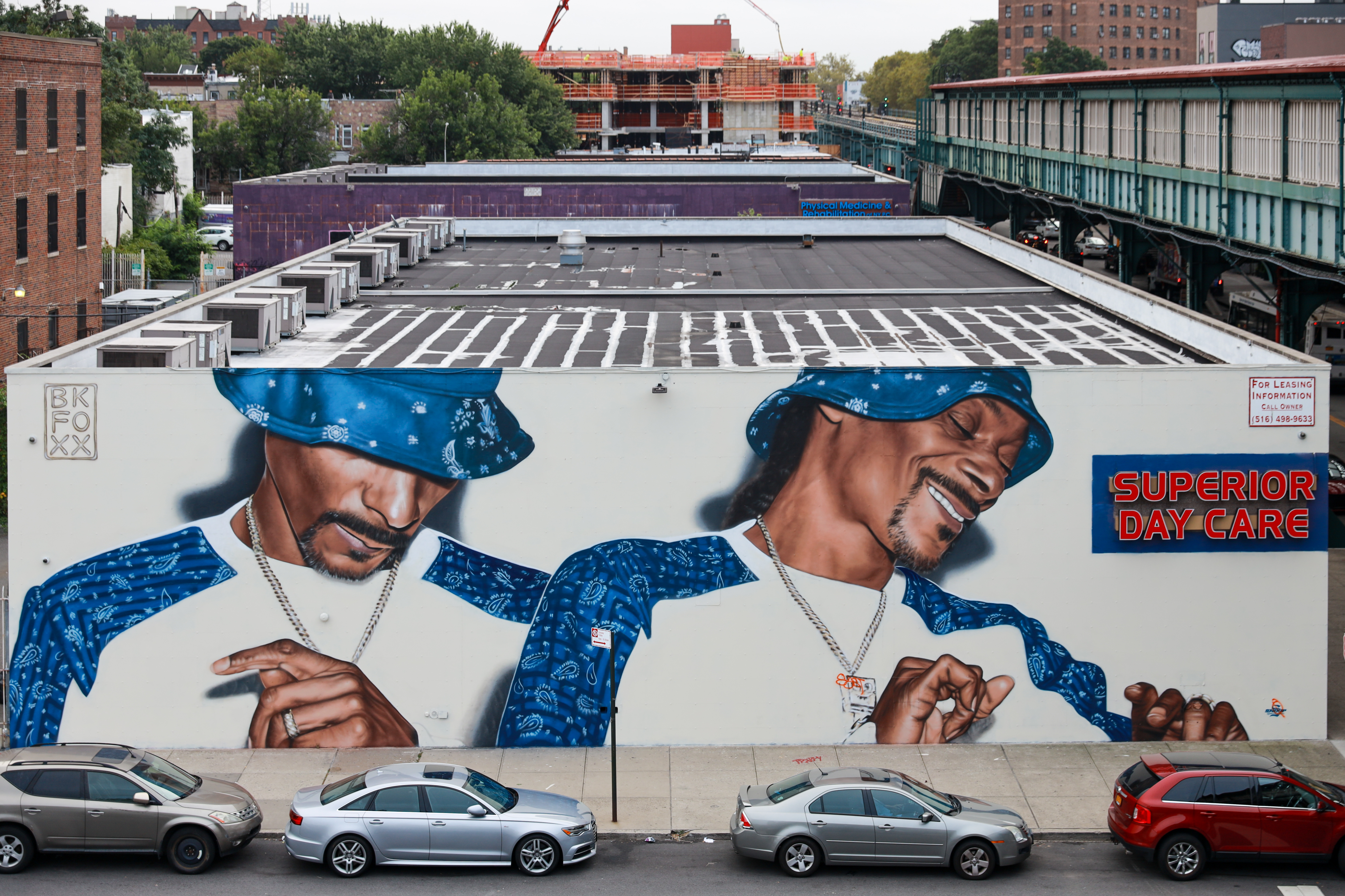 <b>Snoop</b><br>Brooklyn, NY<br>Aug 2018<br>photo by @just_a_spectator